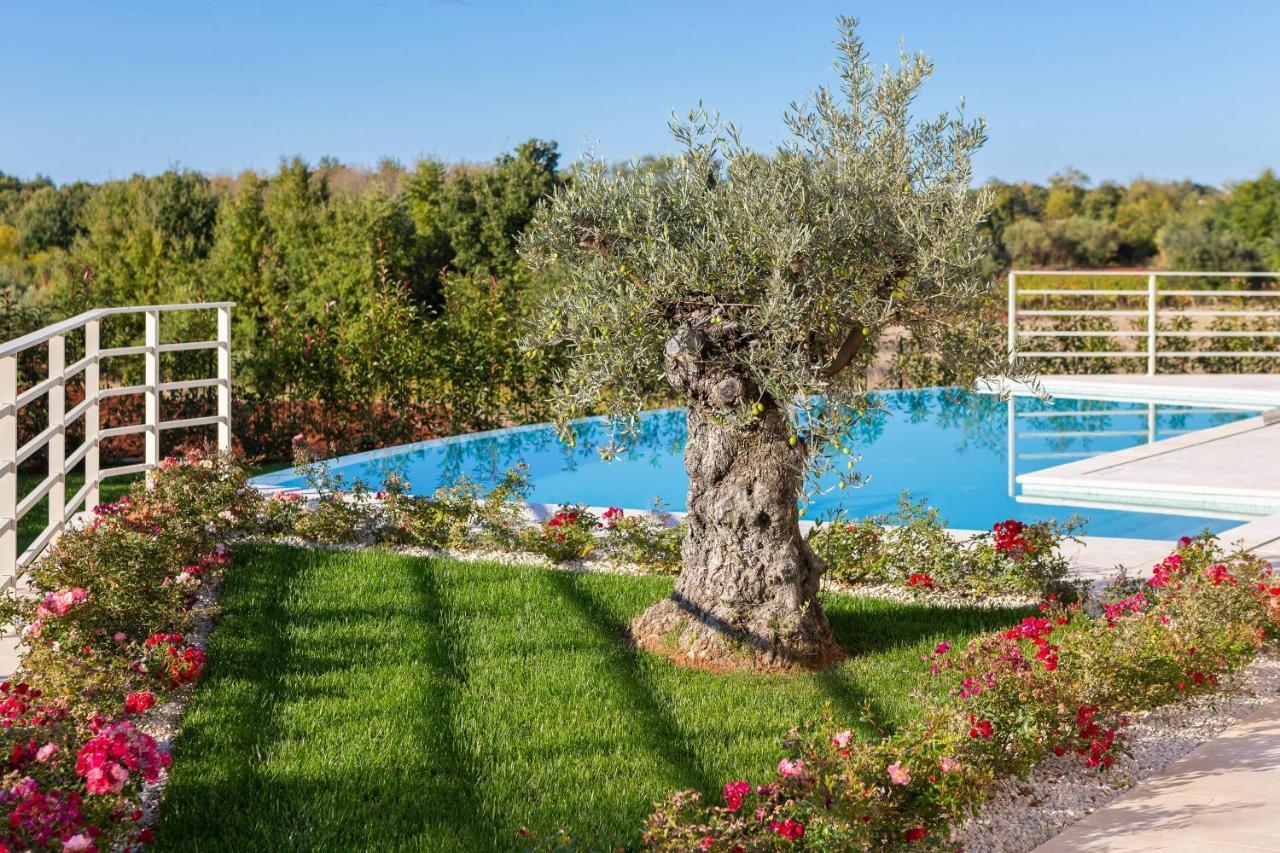 Villa Blanche By Ilc Brtonigla Extérieur photo